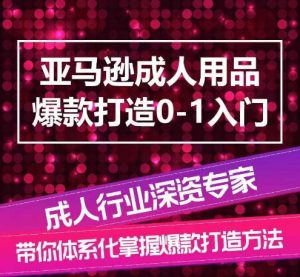 亚马逊成人用品爆款打造0-1入门,系统化讲解亚马逊成人用品爆款打造的流程-风淘社