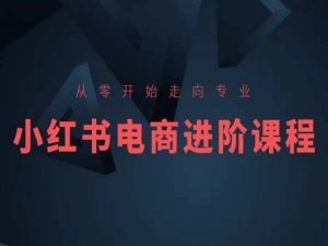 从零开始走向专业,小红书电商进阶课程-风淘社