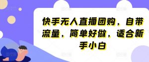 快手无人直播团购,自带流量,简单好做,适合新手小白【揭秘】-风淘社