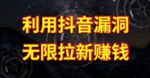利用抖音链接漏洞，无限拉新赚钱【漏洞原理+操作流程】【揭秘】-风淘社