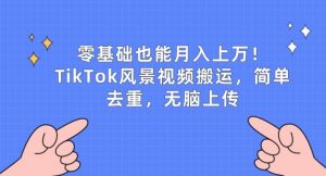零基础也能月入上w，TikTok风景视频搬运，简单去重，无脑上传【揭秘】-风淘社