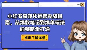 小红书高转化运营实战指南，从爆款笔记到爆单玩法的链路全打通-风淘社
