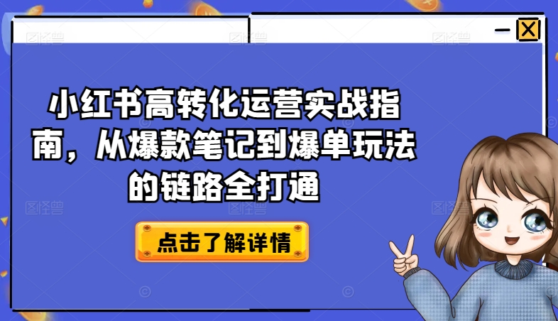 小红书高转化运营实战指南，从爆款笔记到爆单玩法的链路全打通-风淘社