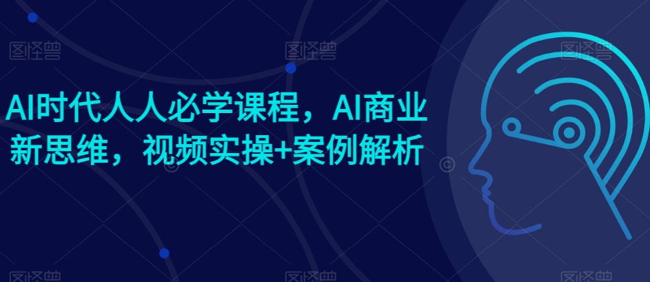 AI时代人人必学课程,AI商业新思维,视频实操+案例解析【赠AI商业爆款案例】-风淘社
