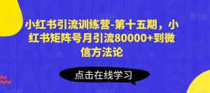 小红书引流训练营-第十五期,小红书矩阵号月引流80000+到微信方法论-风淘社