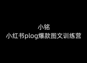 小铭-小红书plog爆款图文训练营,教你从0-1做小红书-风淘社