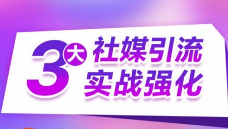 3大社媒引流实战强化,多渠道站外引流,高效精准获客,订单销售额翻倍增长-风淘社