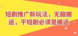 短剧推广新玩法，无脑搬运，干短剧必须是搬运【揭秘】-风淘社