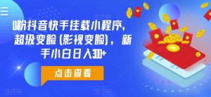0粉抖音快手挂载小程序，超级变脸(影视变脸)，新手小白日入300+【揭秘】-风淘社
