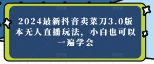 2024最新抖音卖菜刀3.0版本无人直播玩法,小白也可以一遍学会【揭秘】-风淘社