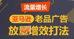 亚马逊流量增长-老品广告放量增效打法,循序渐进,打造更多TOP listing-风淘社