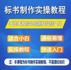 标书制作实操教程,手把手教你如何制作授标文件,零基础一周学会制作标书-风淘社
