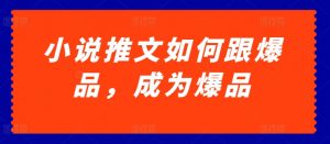小说推文如何跟爆品，成为爆品【揭秘】-风淘社
