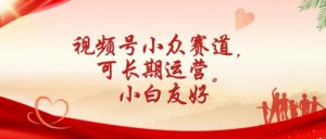 视频号小众赛道,可长期运营,小白友好【揭秘】-风淘社