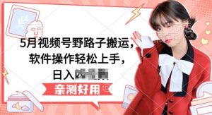 5月视频号野路子搬运,软件操作轻松上手,日入三位数【揭秘】-风淘社