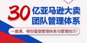 30亿亚马逊大卖团队管理体系,一套课,帮你重塑管理体系与管理技巧-风淘社