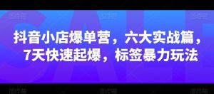 抖音小店爆单营，六大实战篇，7天快速起爆，标签暴力玩法-风淘社