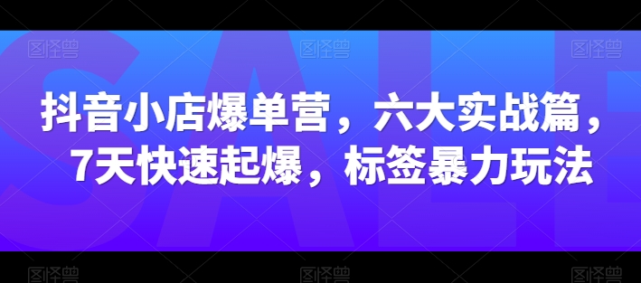 抖音小店爆单营，六大实战篇，7天快速起爆，标签暴力玩法-风淘社