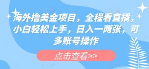 海外撸美金项目，全程看直播，小白轻松上手，日入一两张，可多账号操作【揭秘】-风淘社
