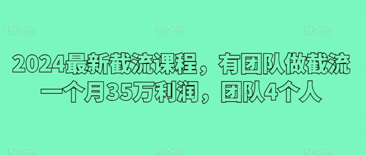 2024最新截流课程,有团队做截流一个月35万利润,团队4个人-风淘社