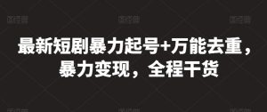 最新短剧暴力起号+万能去重，暴力变现，全程干货【揭秘】-风淘社