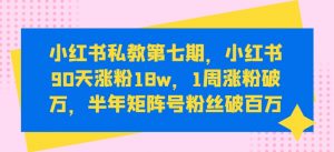 小红书私教第七期,小红书90天涨粉18w,1周涨粉破万,半年矩阵号粉丝破百万-风淘社