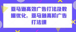 亚马逊高效广告打法及数据优化,亚马逊高阶广告打法课-风淘社