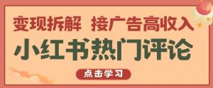 小红书热门评论,变现拆解,接广告高收入【揭秘 】-风淘社