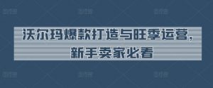 沃尔玛爆款打造与旺季运营,新手卖家必看-风淘社