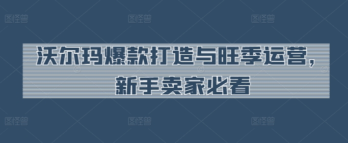 沃尔玛爆款打造与旺季运营,新手卖家必看-风淘社