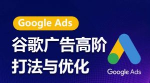 谷歌广告高阶打法与优化,凝结行业精华的谷歌广告体系课程,带你抓住流量红利,最大化ROI-风淘社
