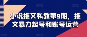 小说推文私教第9期，推文暴力起号和账号运营-风淘社
