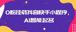 0粉挂载抖音快手小程序，AI智能起名-风淘社