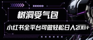 小红书等全平台树洞受气包项目，轻松日入一两张【揭秘】-风淘社