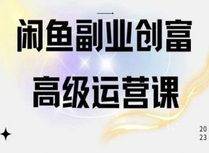 闲鱼电商运营高级课程,一部手机学会闲鱼开店赚钱-风淘社
