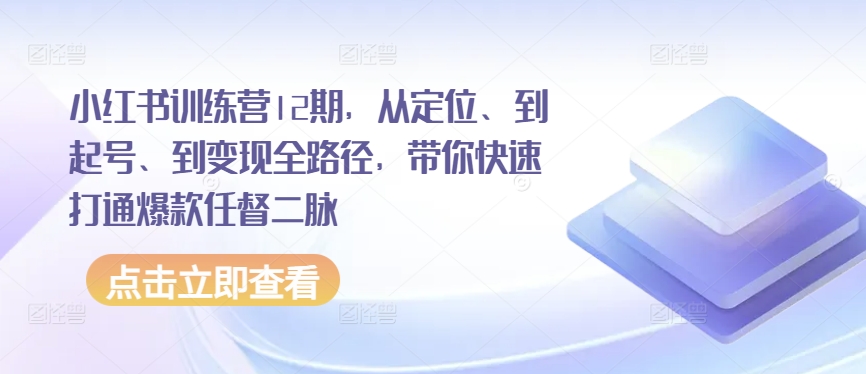 小红书训练营12期，从定位、到起号、到变现全路径，带你快速打通爆款任督二脉-风淘社
