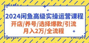 2024闲鱼高级实操运营课程:开店/养号/选择爆款/引流/月入2万/全流程-风淘社