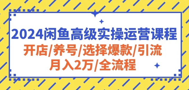 2024闲鱼高级实操运营课程:开店/养号/选择爆款/引流/月入2万/全流程-风淘社