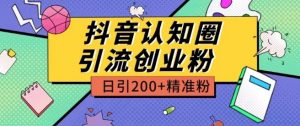 外面收费3980抖音认知圈引流创业粉玩法日引200+精准粉【揭秘】-风淘社