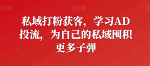 私域打粉获客,学习AD投流,为自己的私域囤积更多子弹-风淘社