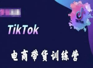 TikTok电商带货训练营，跟随时代潮流，跨境掘金-风淘社