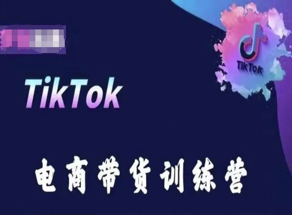 TikTok电商带货训练营,跟随时代潮流,跨境掘金-风淘社