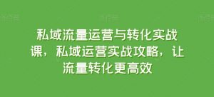 私域流量运营与转化实战课,私域运营实战攻略,让流量转化更高效-风淘社