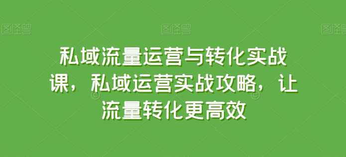 私域流量运营与转化实战课,私域运营实战攻略,让流量转化更高效-风淘社