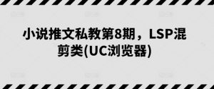 小说推文私教第8期,LSP混剪类(UC浏览器)-风淘社