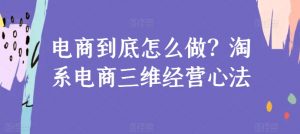 电商到底怎么做?淘系电商三维经营心法-风淘社
