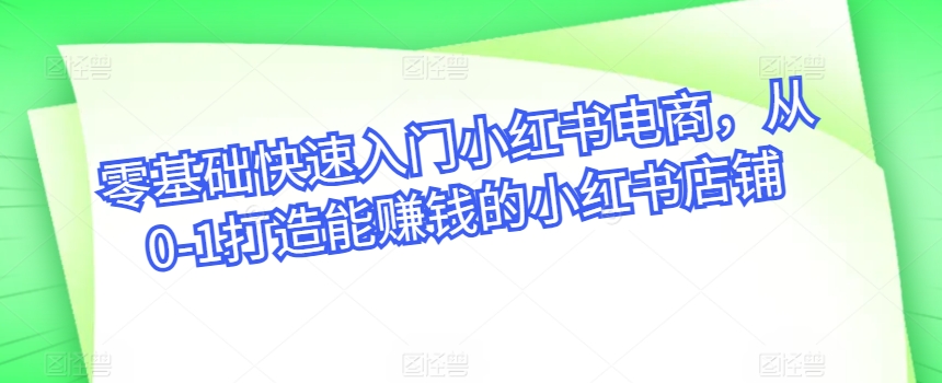 零基础快速入门小红书电商,从0-1打造能赚钱的小红书店铺-风淘社