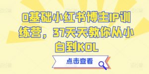 0基础小红书博主IP训练营,37天天教你从小白到KOL-风淘社