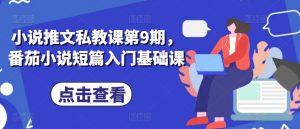 小说推文私教课第9期，番茄小说短篇入门基础课-风淘社