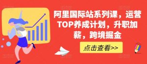 阿里国际站系列课,运营TOP养成计划,升职加薪,跨境掘金-风淘社